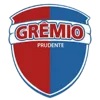 Gremio Prudente
