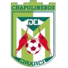 Chapulineros de Oaxaca II
