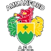 Ammanford