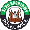 Gornik Polkowice