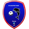AS Dauphins Noirs
