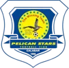Pelican Stars (w)