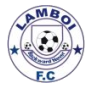 Logo Bullom Stars
