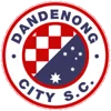 Dandenong City U21
