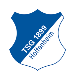 Logo Hoffenheim U19